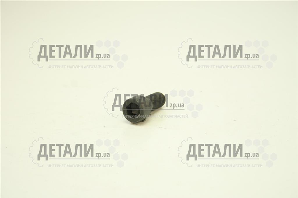 Болт М12х30х1.25 крепления суппорта ВАЗ 2108, 2109, 21099 (под шестигранник) Белебей-крепеж