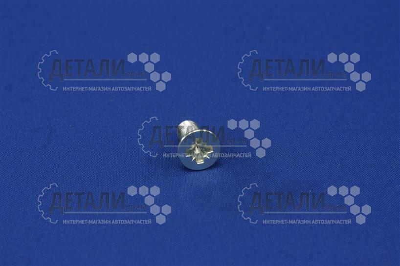 Винт М8х20 петли двери Украина Мелитополь 1/33035/11 – купить на ДЕТАЛИ ...