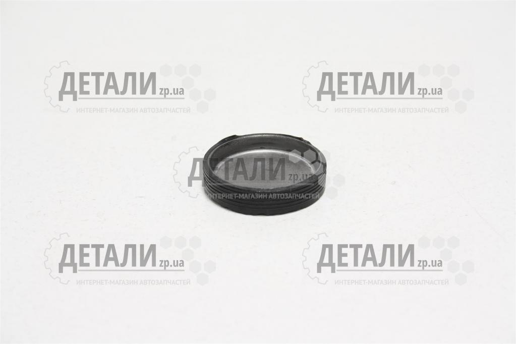 Заглушка вала распределительного 2112, 2170 16кл ASR