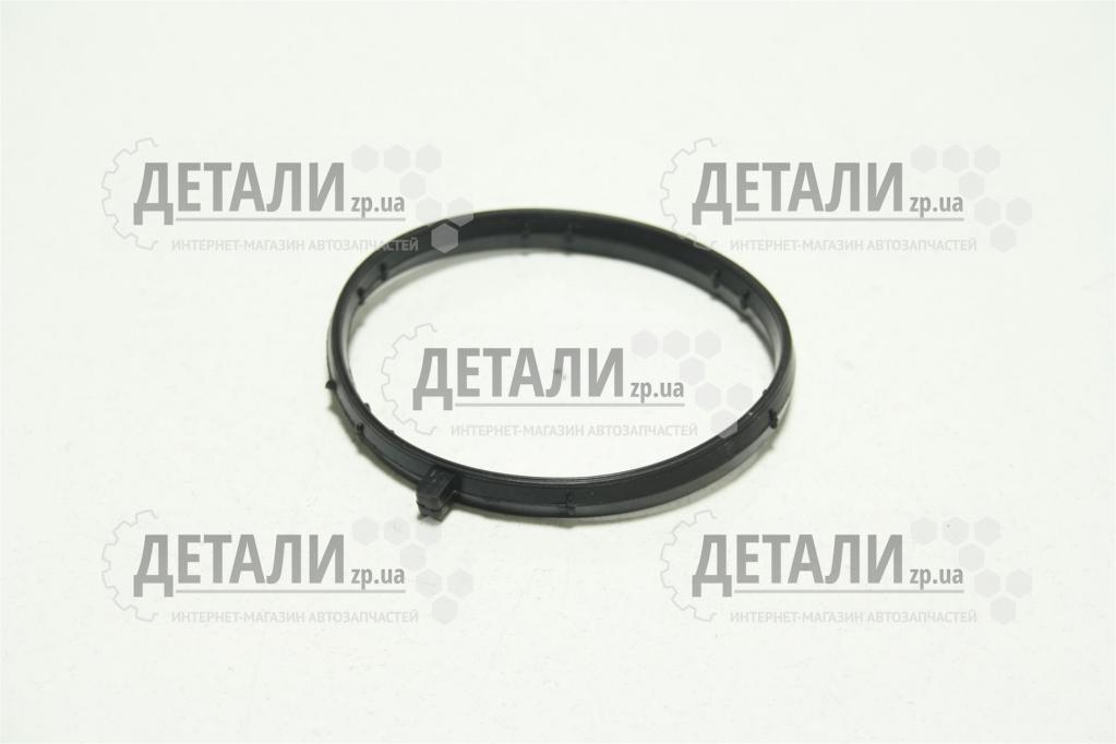 Прокладка термостата 3302 NEXT, Бізнес дв.Cummins ISF 2.8