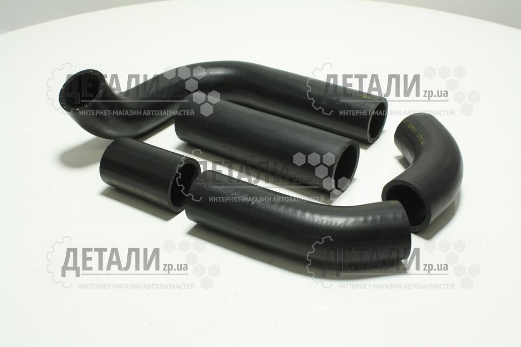 Патрубок радіатора 3302, 2705 402 двигун комплект 5шт RAF