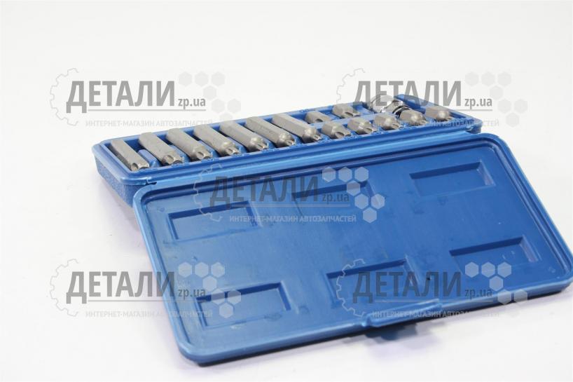 Набор бит звездочек TORX 15 предметов VOREL 66580 – купить на