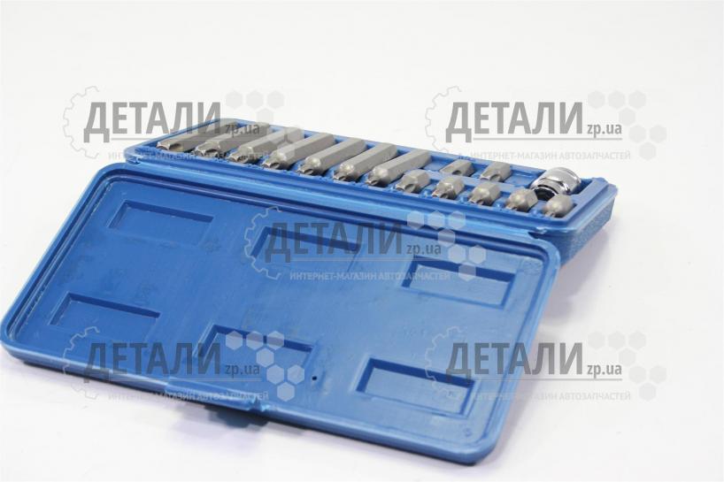 Набор бит звездочек TORX 15 предметов VOREL 66580 – купить на